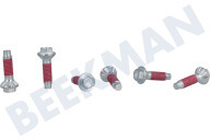 Bout geschikt voor o.a. WW12H8420EX, WF0704W7W, WF1804WPN2 van trommelkruis