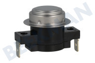 Thermostat geeignet für u.a. CV92T5S2SQE, F4DN508S1, F4J6TM0W, GD3V409S0 Element