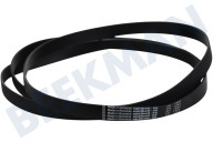 Candy 40012518  Snaar geschikt voor o.a. ROH9A3TES, DXH9A3TCEXS 1992 PH11 geschikt voor o.a. ROH9A3TES, DXH9A3TCEXS