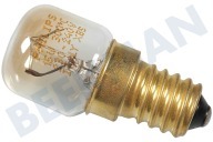 Lampje geschikt voor o.a. Condensdrogers 300 gr. 15W E14