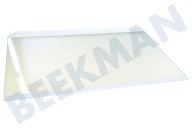 Glasplaat geschikt voor o.a. FI2592, KBA22411 458,5 x 286 mm.