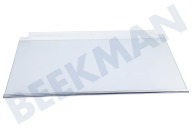 Ikea 4055588182 Koelkast Glasplaat Compleet geschikt voor o.a. HAFTIGT20282367, HAFTIGT40282366