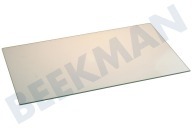 Etna 481946678415  Glasplaat geschikt voor o.a. KGI2900, 47,2x28,8cm geschikt voor o.a. KGI2900,