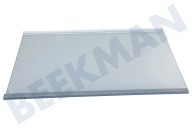 Glasplaat geschikt voor o.a. KGSF20A2WS, BSNF8152S, KGNF18KA3IN Compleet met strippen