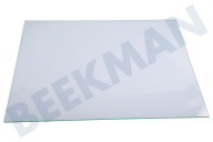 Novamatic Koelkast 11004279 Glasplaat geschikt voor o.a. GSN33VW3P02, GS29NEWEV02