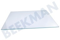 Constructa Koelkast 709677, 00709677 Glasplaat geschikt voor o.a. GS51NAW4002, GS51NCW4001