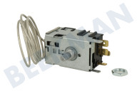 Bosch 607862, 00607862 Koelkast Thermostaat geschikt voor o.a. 3KVB5410/03, CK266V00/05