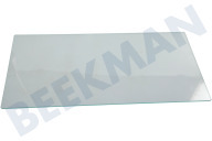 Atag 46671 Koelkast Glasplaat geschikt voor o.a. KS12102BN/A1, KD62122A/A01