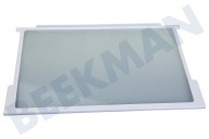 Etna 179038 Koelkast Glasplaat geschikt voor o.a. EEK140VA, EEK150A, EEK260VA