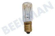Friac 607637  Lamp 10W E14