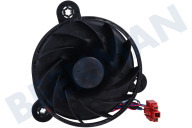 Candy 49123469  Ventilator geschikt voor o.a. CHSBSV5172XN, HHSBSO6174X Compleet geschikt voor o.a. CHSBSV5172XN, HHSBSO6174X