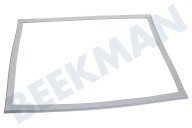 Ikea 4669520100 IJskast Afdichtingsrubber geschikt voor o.a. CNA365E30W, CN366E40ZXP Vriezer geschikt voor o.a. CNA365E30W, CN366E40ZXP