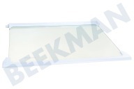 Bomann 4617920500 Glasplaat geschikt voor o.a. CS240, DS250, RBI1400  Glasplaat koelkast geschikt voor o.a. CS240, DS250, RBI1400