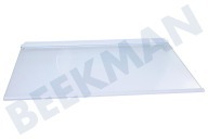 Glasplaat geschikt voor o.a. BLSA16020S, RSSA315K21W, KCHA300K20XP Legplateau met strippen