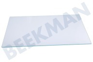 Gram Vriezer 5770720100 Glasplaat geschikt voor o.a. KSSE2620W, RCHE300K20W