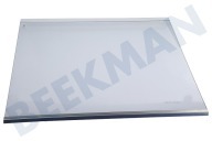 Beko 4918521500 Vriezer Glasplaat Compleet geschikt voor o.a. GN163120X, 163120