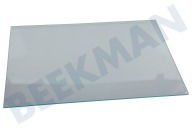 Beko 4299892700 Koelkast Glasplaat geschikt voor o.a. DSE25036, B1754FN Legplateau geschikt voor o.a. DSE25036, B1754FN