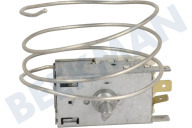 Friac 9002754085  Thermostaat geschikt voor o.a. RDM6107, DSM1510i