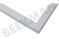 Hisense HK1996526  Deurrubber geschikt voor o.a. NRK4182CS4, RB327N4AD2