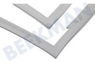 Hisense HK1523339  Deurrubber vriesdeur geschikt voor o.a. NRS918EMB, RS560N4AD1