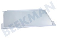 Sibir 163377 Koelkast Glasplaat geschikt voor o.a. RK6337E, RF6275W Compleet, incl. strippen geschikt voor o.a. RK6337E, RF6275W