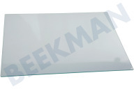 ASKO 459397 Koelkast Glasplaat geschikt voor o.a. FN6192PB, FNE6192CW