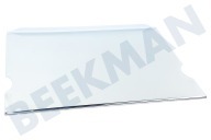 Liebherr Koelkast 7276218 Glasplaat geschikt voor o.a. CNP475820A, CP481520A