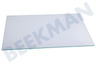 Liebherr  7271456 Glasplaat geschikt voor o.a. IKB231020162, ICBN336620G001