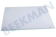 Liebherr Koelkast 7277152 Glasplaat geschikt voor o.a. CB481520A001, CBN481520A088