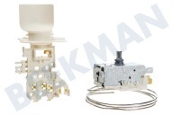 Fagor IJskast Thermostaat geschikt voor o.a. ART4834, KGIK3200A Ranco K59S1884500 + lamphouder vervangt A13 0697 geschikt voor o.a. ART4834, KGIK3200A