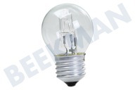 Lampje geschikt voor o.a. ARG486, ARG475, ART730 40W 220V E27