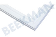 Rosenlew Vrieskist 130687 Deurrubber Vriesgedeelte geschikt voor o.a. HZS3567A01, HZS356704