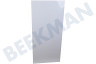 Pelgrim 36476  Deur geschikt voor o.a. KK2122K/P01, EEK216A/E05 Koelkast incl. Rubber geschikt voor o.a. KK2122K/P01, EEK216A/E05
