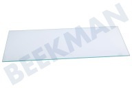 Etna Koeling 35879 Glasplaat geschikt voor o.a. KK2224AP05, KK2174AP01