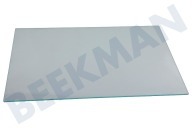 Pelgrim 563773 Koelkast Glasplaat geschikt voor o.a. PCS3178L, PCS4178L