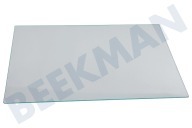 Pelgrim 563671 Koelkast Glasplaat geschikt voor o.a. PCS4178L, PCS3178L