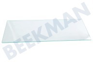 Glasplaat geschikt voor o.a. oa FAB30 52,5x20,4cm