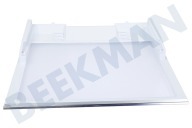 Samsung DA9716884A DA97-16884A Koeling Glasplaat Groentelade geschikt voor o.a. RB38K7998S4