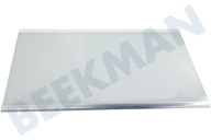 DA97-13502G Glasplaat geschikt voor o.a. RB29FEJNBSA, RB37J5349SL Compleet, Koelkast, RL31/29 Best,Silver