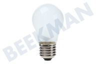 Samsung 4713001201 4713-001201 Diepvriezer Lamp geschikt voor o.a. RL38HGIS1, RSH1DTPE1 Globe 40W E27 geschikt voor o.a. RL38HGIS1, RSH1DTPE1