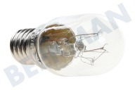 4713-000213 Lamp geschikt voor o.a. 75Lm 15W 240V E14