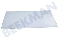 Frigidaire 2109403036 Koelkast Glasplaat Compleet geschikt voor o.a. ZRA40100WA, KS4021X