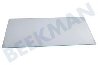 Aeg electrolux 2249076080 Koelkast Glasplaat geschikt voor o.a. ZRD34SM, ERD3420, ZD3111L6