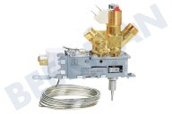Dometic 241219020 Vriezer Regelblok Gas/Elektra geschikt voor o.a. RGE2100, RGE4000