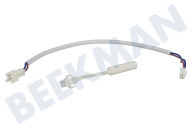 Sensor geschikt voor o.a. CRE65, CRX0110, CRX0080 Temperatuurvoeler