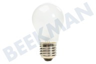 Lamp geschikt voor o.a. GCP227, GRL218AT, GRP209 40W 240V E27 mat
