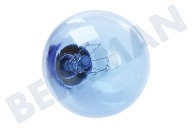 Lamp geschikt voor o.a. GRL217, GWB227, GWP227 Blauw E14