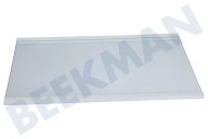 Inventum 30300900533 Vriezer Glasplaat geschikt voor o.a. KV1808R, KV1800NF