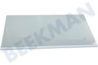 Upo HK2003406 Koelkast Glasplaat geschikt voor o.a. R4142PW, R4142PS Compleet geschikt voor o.a. R4142PW, R4142PS