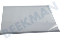 Hisense HK4078801  Glasplaat geschikt voor o.a. RD23DC4SHA, RD23DC4SHF